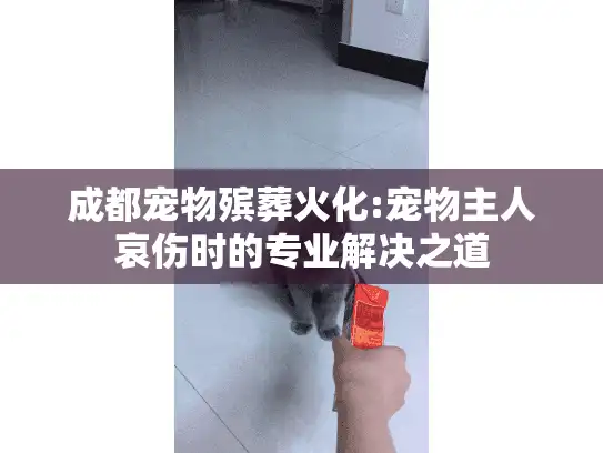 成都宠物殡葬火化:宠物主人哀伤时的专业解决之道