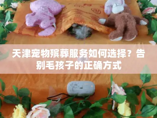天津宠物殡葬服务如何选择?告别毛孩子的正确方式 天津宠物殡葬服务如何选择?告别毛孩子的正确方式