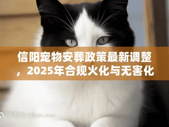 信阳宠物安葬政策最新调整，2025年合规火化与无害化处理内幕