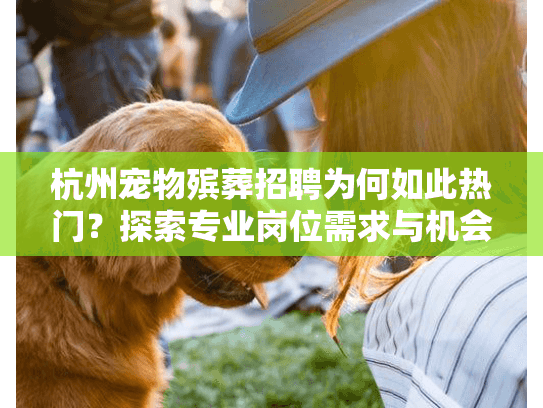 杭州宠物殡葬招聘为何如此热门？探索专业岗位需求与机会