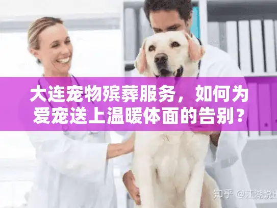 大连宠物殡葬服务,如何为爱宠送上温暖体面的告别? 大连宠物殡葬服务,如何为爱宠送上温暖体面的告别?