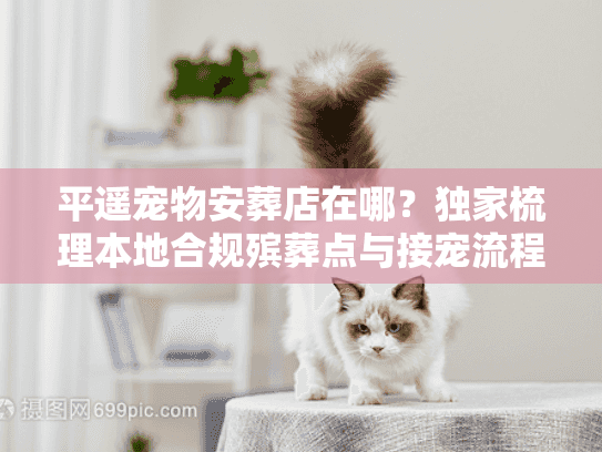 平遥宠物安葬店在哪?独家梳理本地合规殡葬点与接宠流程 平遥宠物安葬店在哪?独家梳理本地合规殡葬点与接宠流程