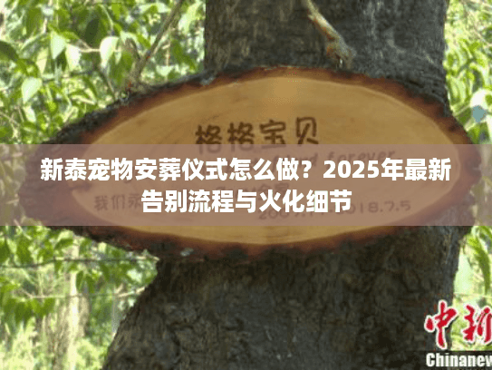 新泰宠物安葬仪式怎么做？2025年最新告别流程与火化细节