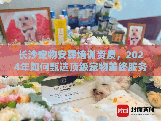 长沙宠物安葬培训资质，2024年如何甄选顶级宠物善终服务