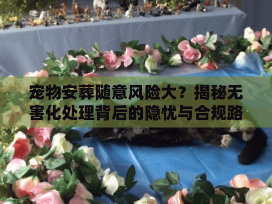 宠物安葬随意风险大？揭秘无害化处理背后的隐忧与合规路径