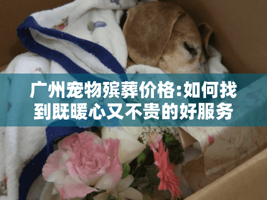 广州宠物殡葬价格:如何找到既暖心又不贵的好服务? 广州宠物殡葬价格:如何找到既暖心又不贵的好服务?