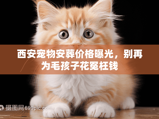 西安宠物安葬价格曝光，别再为毛孩子花冤枉钱