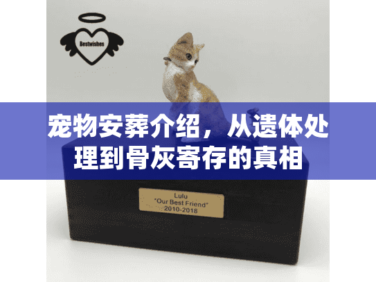 宠物安葬介绍,从遗体处理到骨灰寄存的真相 宠物安葬介绍,从遗体处理到骨灰寄存的真相