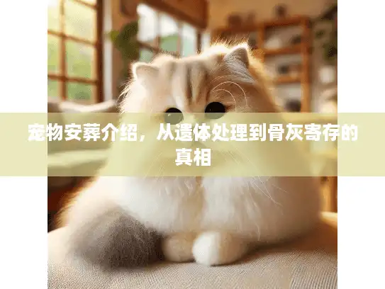 宠物安葬介绍,从遗体处理到骨灰寄存的真相 宠物安葬介绍,从遗体处理到骨灰寄存的真相