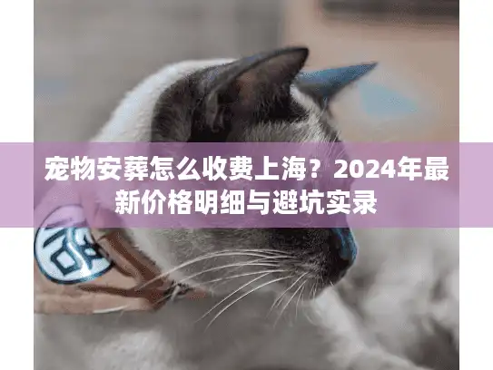 宠物安葬怎么收费上海？2024年最新价格明细与避坑实录