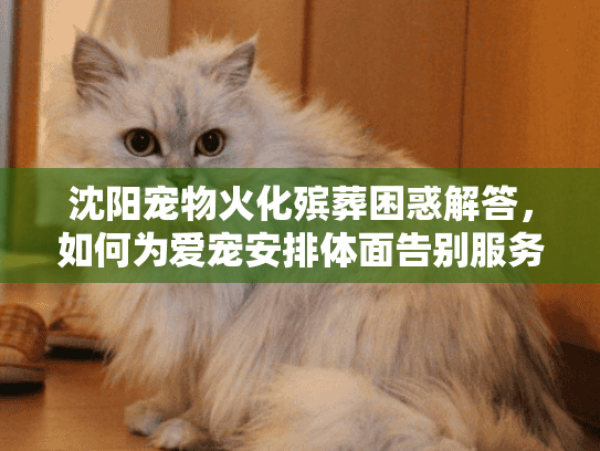 沈阳宠物火化殡葬困惑解答，如何为爱宠安排体面告别服务