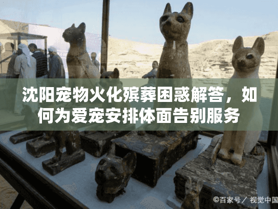 沈阳宠物火化殡葬困惑解答，如何为爱宠安排体面告别服务