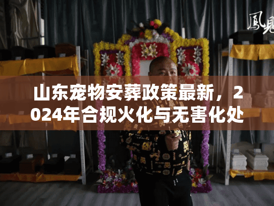 山东宠物安葬政策最新，2024年合规火化与无害化处理全揭秘