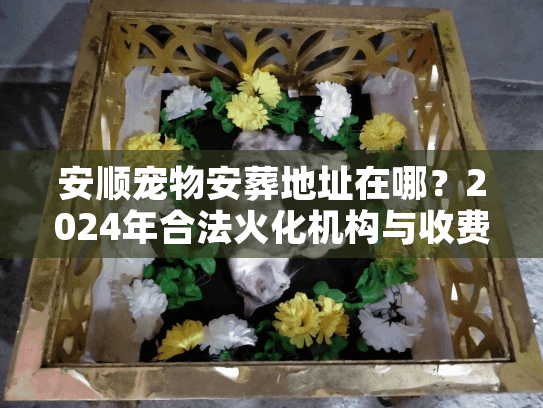 安顺宠物安葬地址在哪？2024年合法火化机构与收费实况