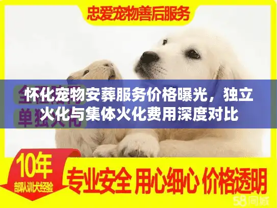 怀化宠物安葬服务价格曝光,独立火化与集体火化费用深度对比 怀化宠物安葬服务价格曝光,独立火化与集体火化费用深度对比