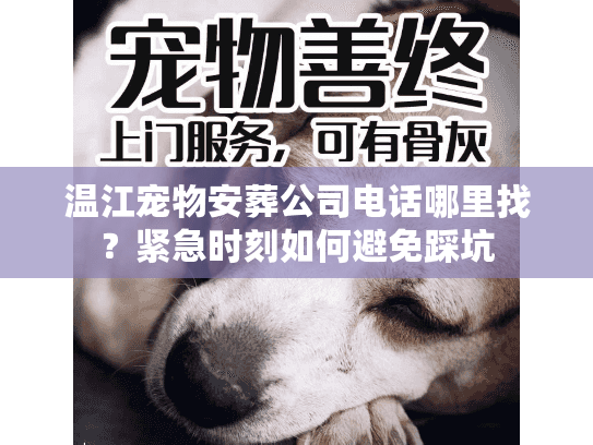 温江宠物安葬公司电话哪里找？紧急时刻如何避免踩坑