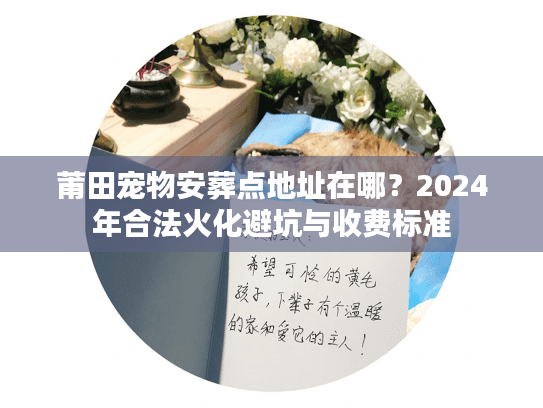 莆田宠物安葬点地址在哪？2024年合法火化避坑与收费标准