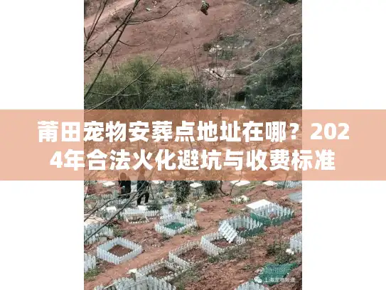 莆田宠物安葬点地址在哪？2024年合法火化避坑与收费标准