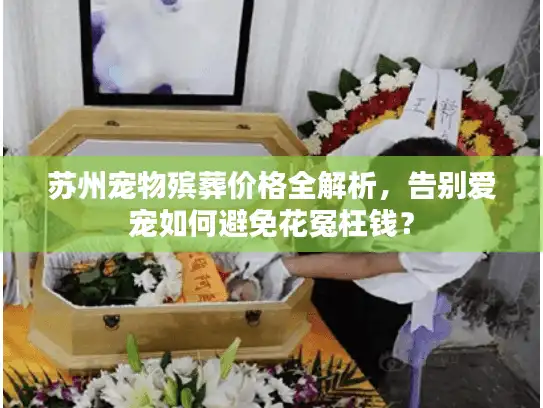 苏州宠物殡葬价格全解析，告别爱宠如何避免花冤枉钱？