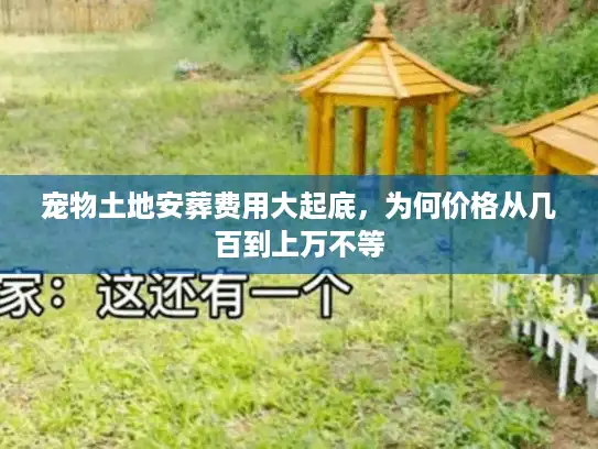 宠物土地安葬费用大起底，为何价格从几百到上万不等