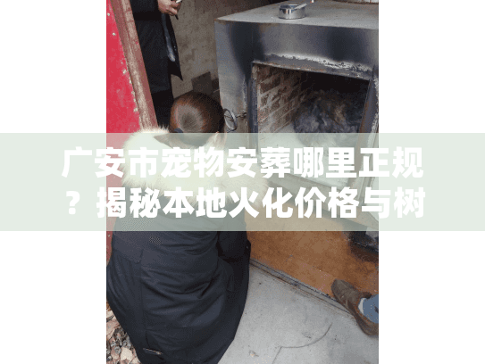 广安市宠物安葬哪里正规?揭秘本地火化价格与树葬流程 广安市宠物安葬哪里正规?揭秘本地火化价格与树葬流程