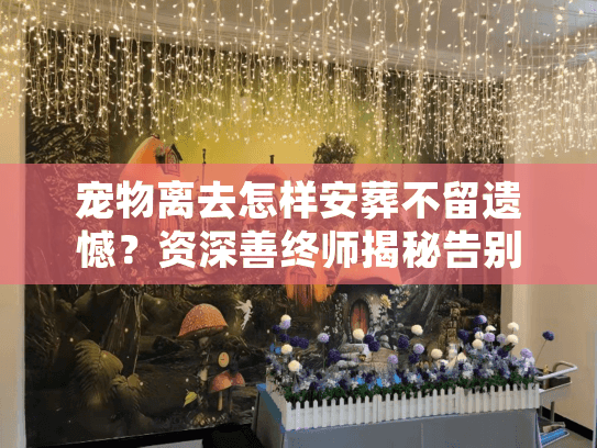 宠物离去怎样安葬不留遗憾？资深善终师揭秘告别仪式的温情时刻