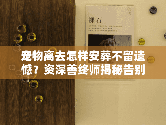 宠物离去怎样安葬不留遗憾？资深善终师揭秘告别仪式的温情时刻