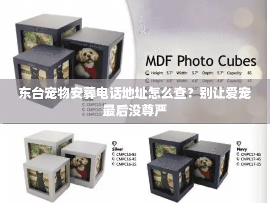 东台宠物安葬电话地址怎么查？别让爱宠最后没尊严