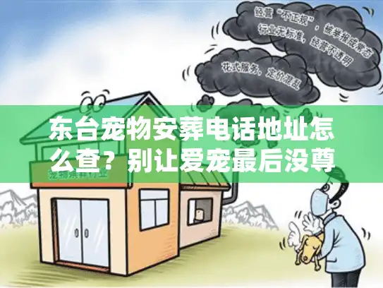 东台宠物安葬电话地址怎么查？别让爱宠最后没尊严