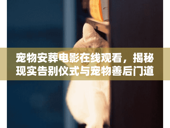 宠物安葬电影在线观看，揭秘现实告别仪式与宠物善后门道