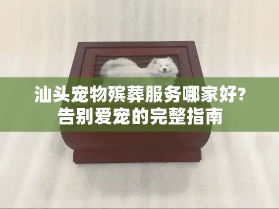 汕头宠物殡葬服务哪家好?告别爱宠的完整指南