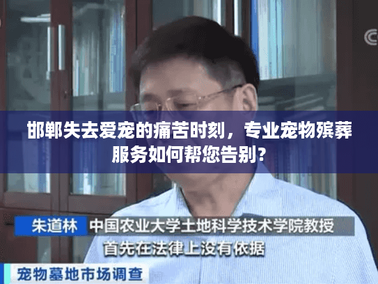 邯郸失去爱宠的痛苦时刻，专业宠物殡葬服务如何帮您告别？