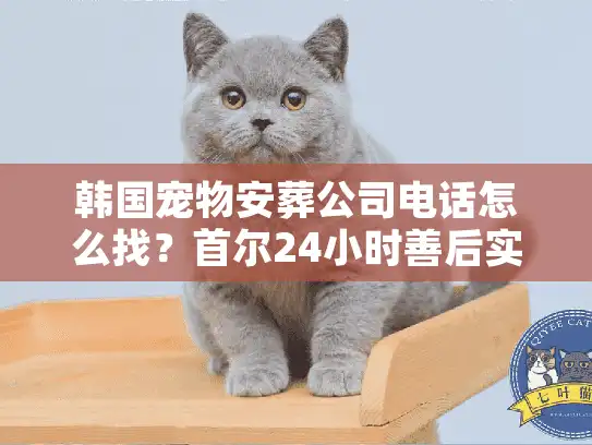 韩国宠物安葬公司电话怎么找？首尔24小时善后实战服务