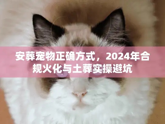 安葬宠物正确方式，2024年合规火化与土葬实操避坑