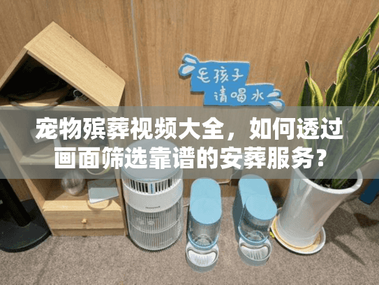 宠物殡葬视频大全,如何透过画面筛选靠谱的安葬服务? 宠物殡葬视频大全,如何透过画面筛选靠谱的安葬服务?