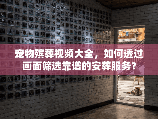 宠物殡葬视频大全,如何透过画面筛选靠谱的安葬服务? 宠物殡葬视频大全,如何透过画面筛选靠谱的安葬服务?