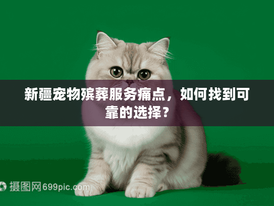 新疆宠物殡葬服务痛点，如何找到可靠的选择？