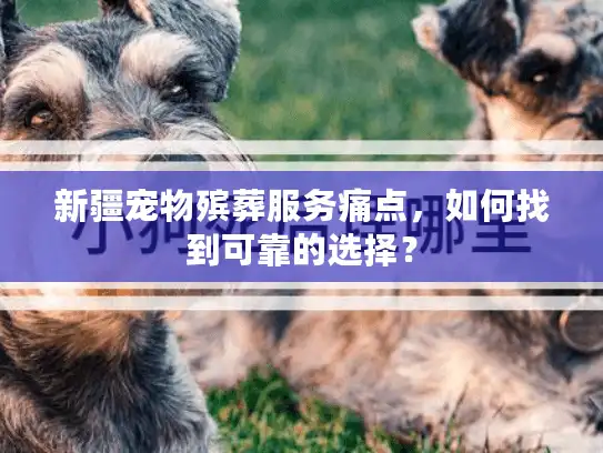 新疆宠物殡葬服务痛点，如何找到可靠的选择？