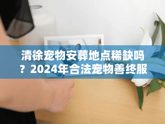 清徐宠物安葬地点稀缺吗？2024年合法宠物善终服务深度剖析