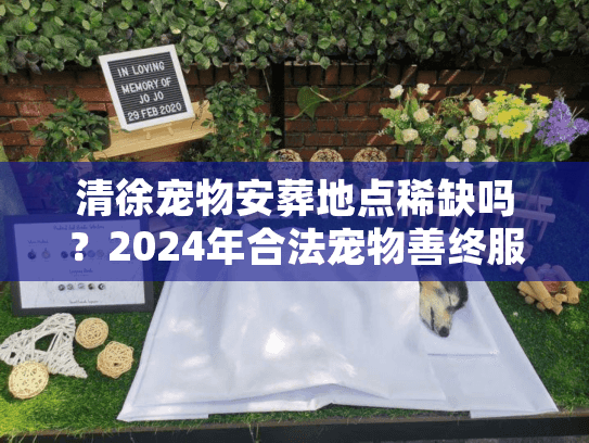 清徐宠物安葬地点稀缺吗？2024年合法宠物善终服务深度剖析
