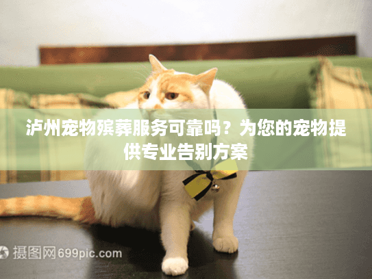 泸州宠物殡葬服务可靠吗?为您的宠物提供专业告别方案 泸州宠物殡葬服务可靠吗?为您的宠物提供专业告别方案