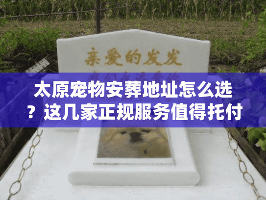 太原宠物安葬地址怎么选？这几家正规服务值得托付