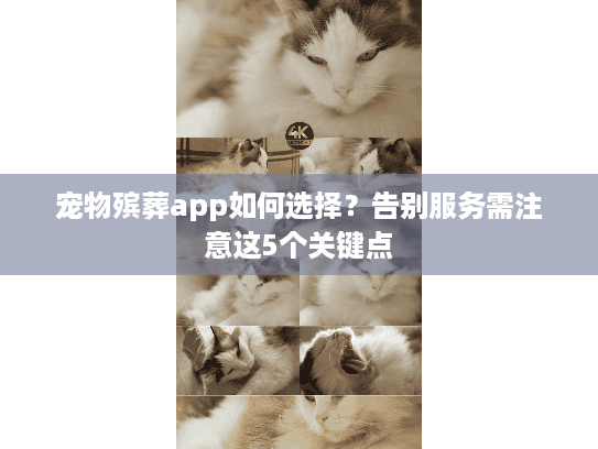 宠物殡葬app如何选择？告别服务需注意这5个关键点