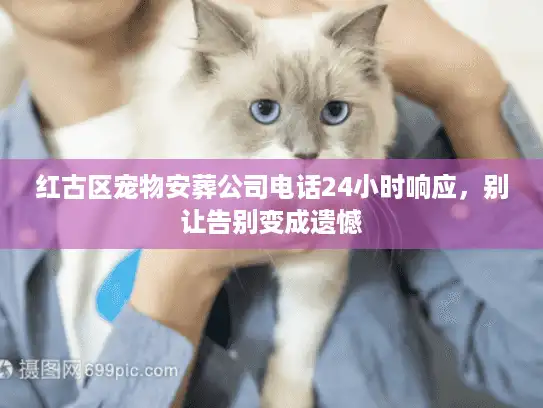 红古区宠物安葬公司电话24小时响应，别让告别变成遗憾