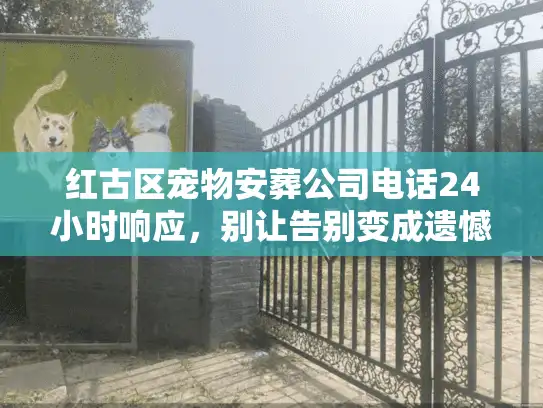 红古区宠物安葬公司电话24小时响应，别让告别变成遗憾