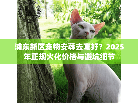 浦东新区宠物安葬去哪好？2025年正规火化价格与避坑细节
