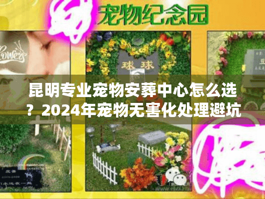 昆明专业宠物安葬中心怎么选？2024年宠物无害化处理避坑实录