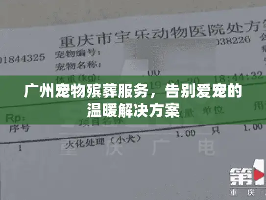 广州宠物殡葬服务，告别爱宠的温暖解决方案
