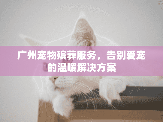广州宠物殡葬服务，告别爱宠的温暖解决方案