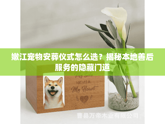 嫩江宠物安葬仪式怎么选？揭秘本地善后服务的隐藏门道